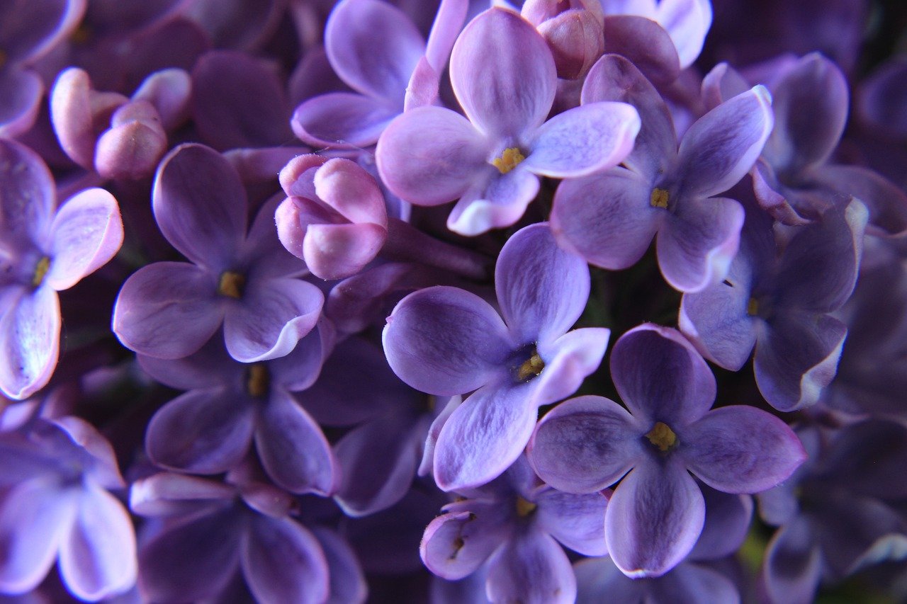 Timeless Beauty: Floral Arrangements in Glass Bottles