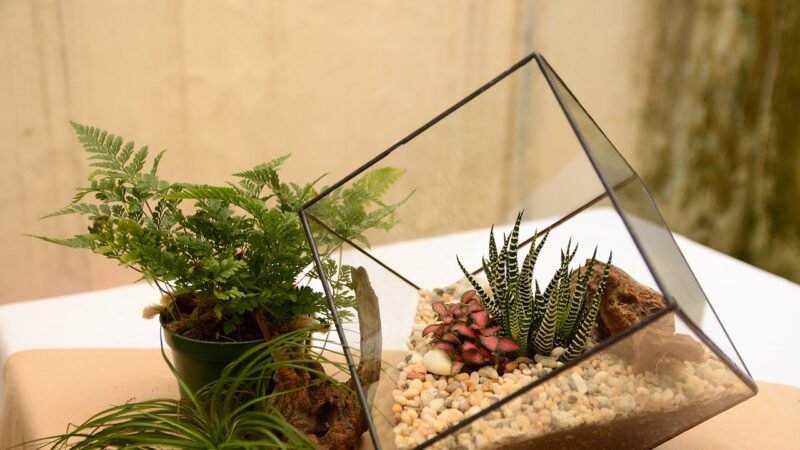 Unique and Creative Glass Bottle Terrarium Ideas